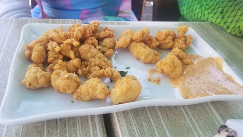 gator bites on a plate with sauce