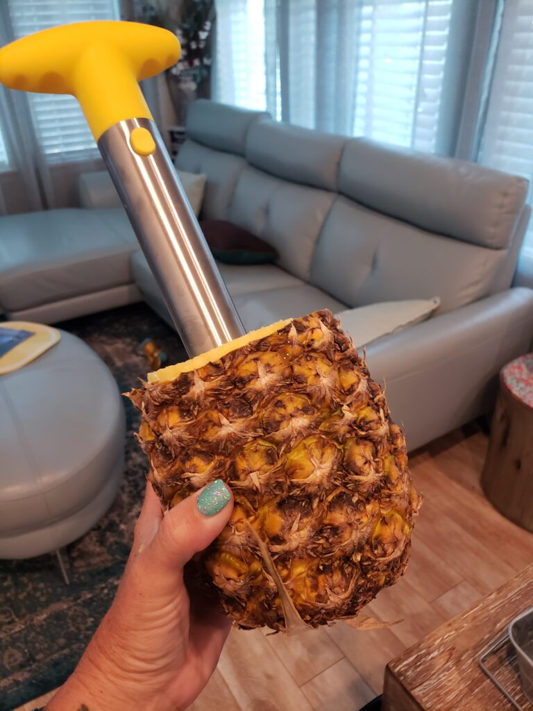 pineapple corer in the pineapple