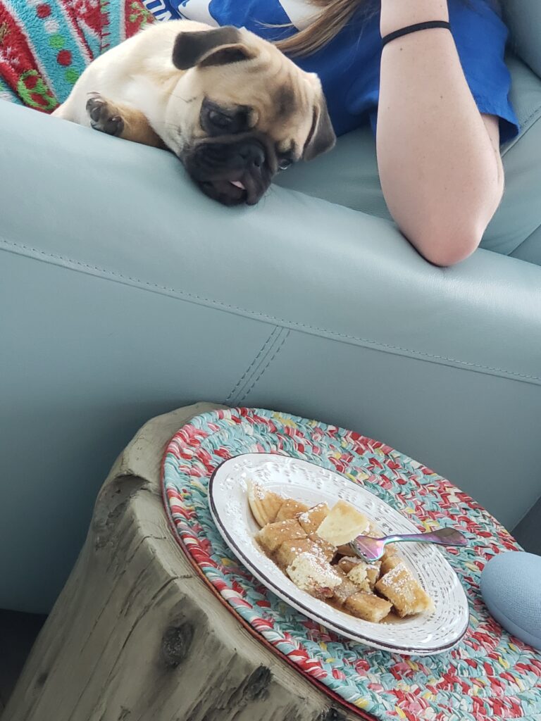 honey the pug with pancakes on the couch