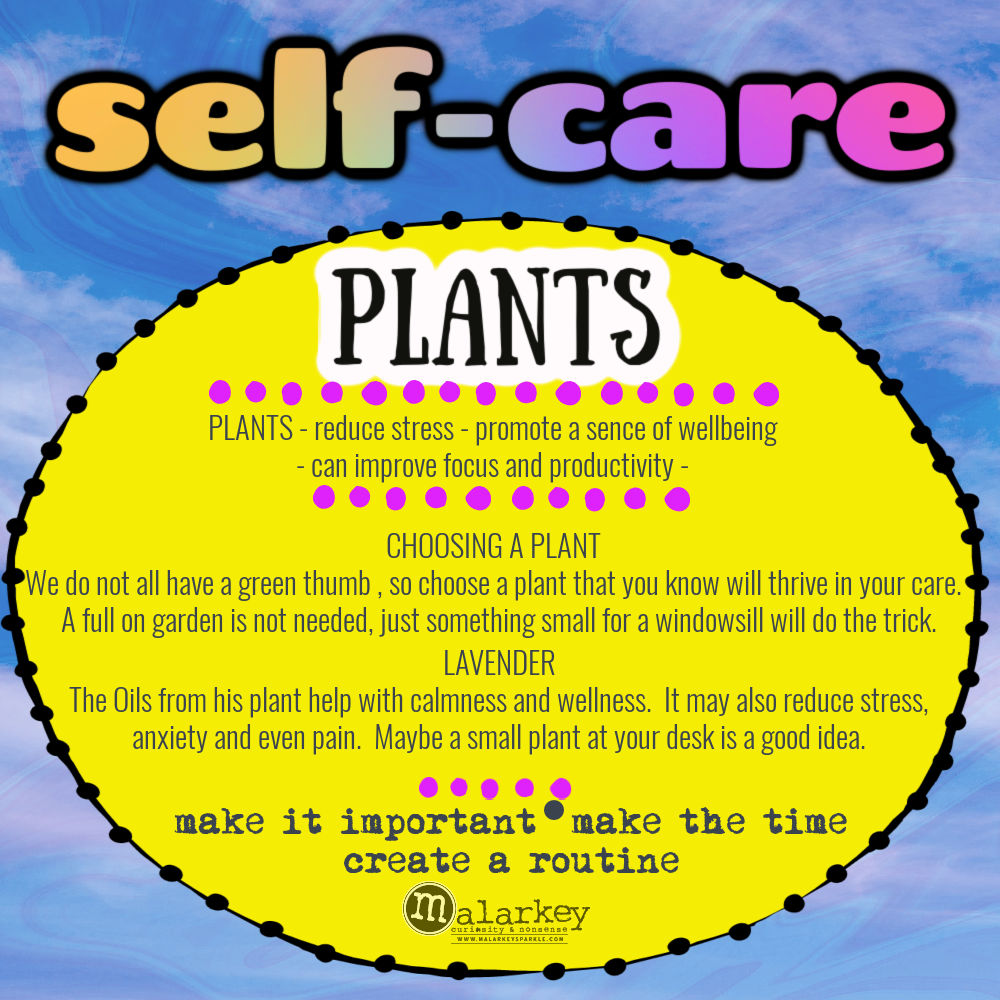 Self-Care - Why do we need it? plant something