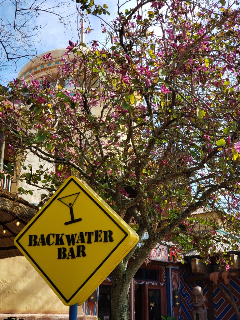 Universal Studios Backwater Bar