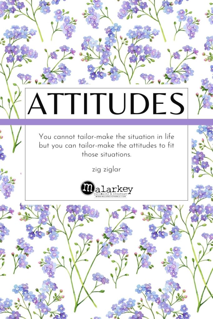 quote on atitude