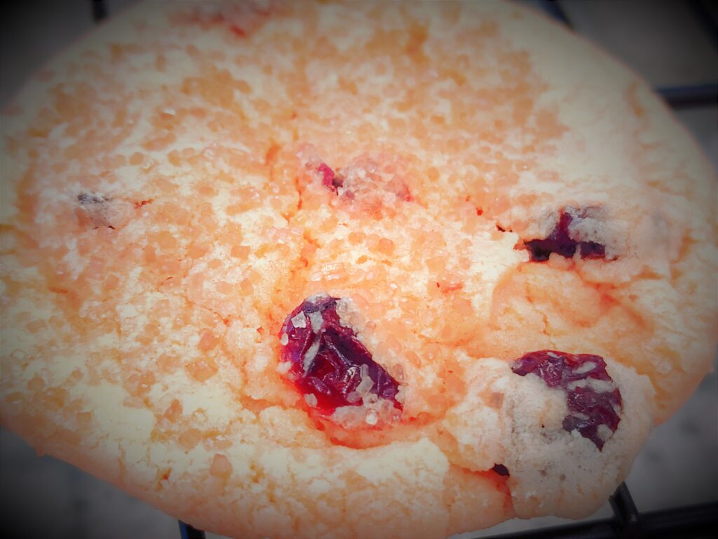 orange cranberry cake cookies - malarkey