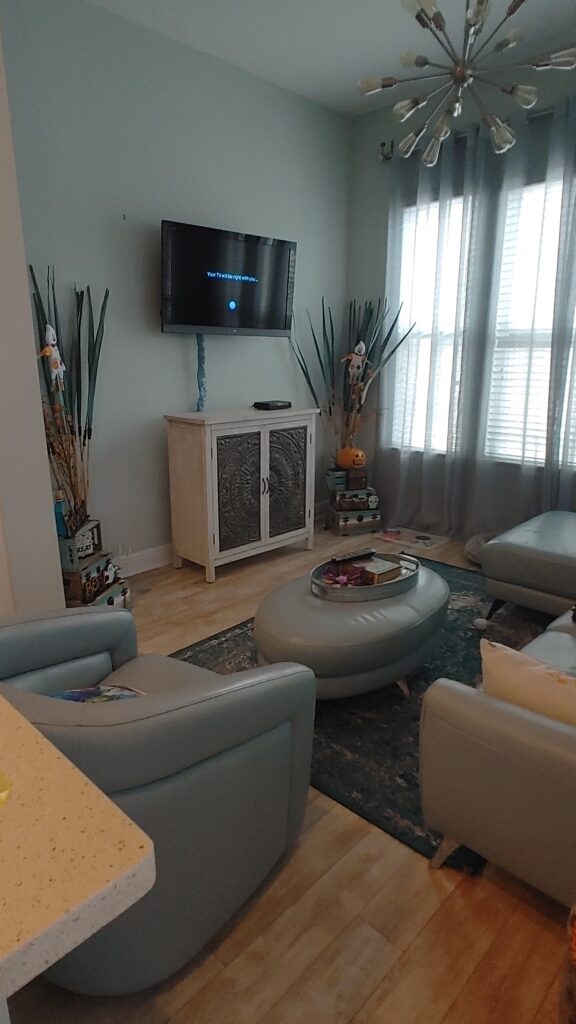 living room tv area