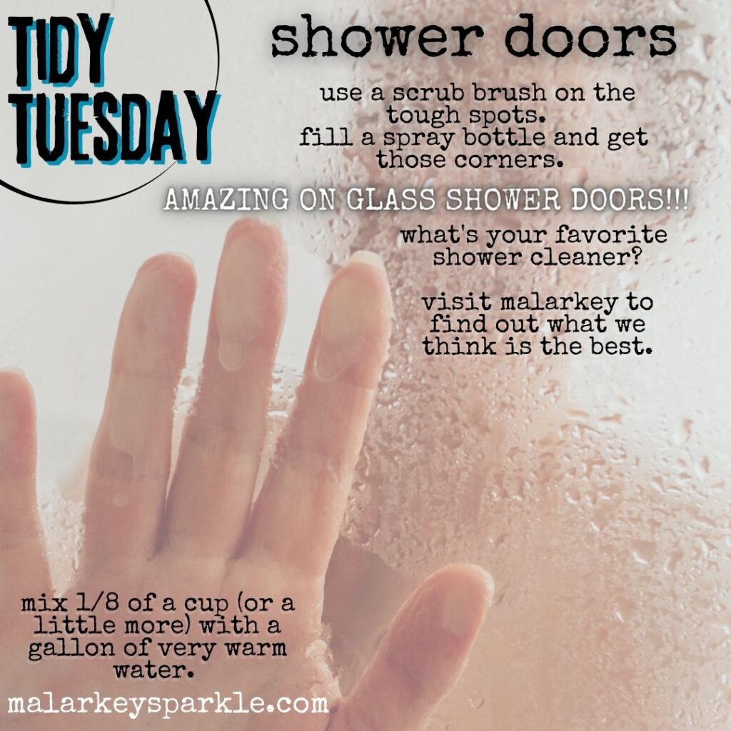 tidy tuesday - shower doors