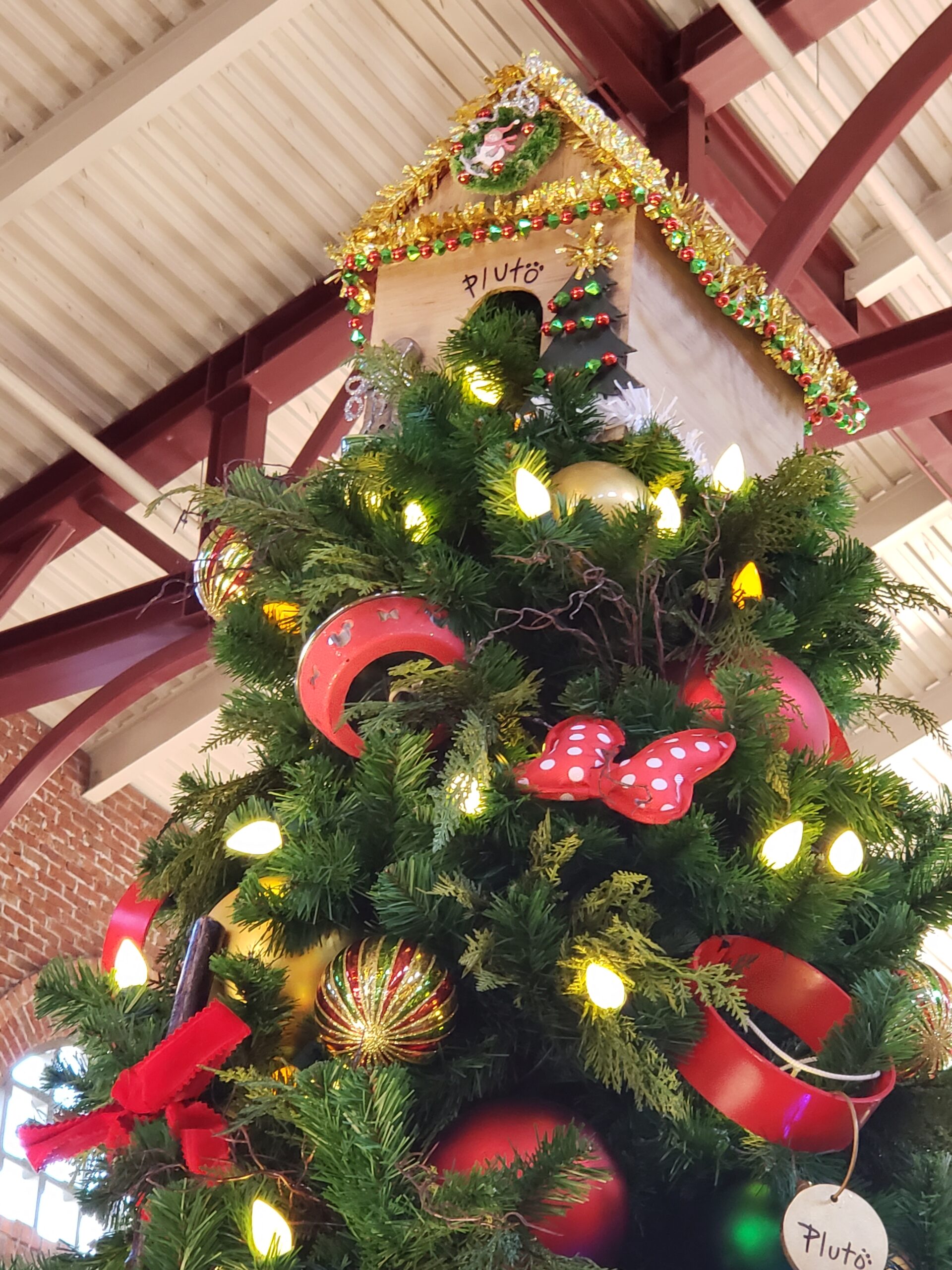 Disney Springs 2020 Christmas ⋆ malarkey