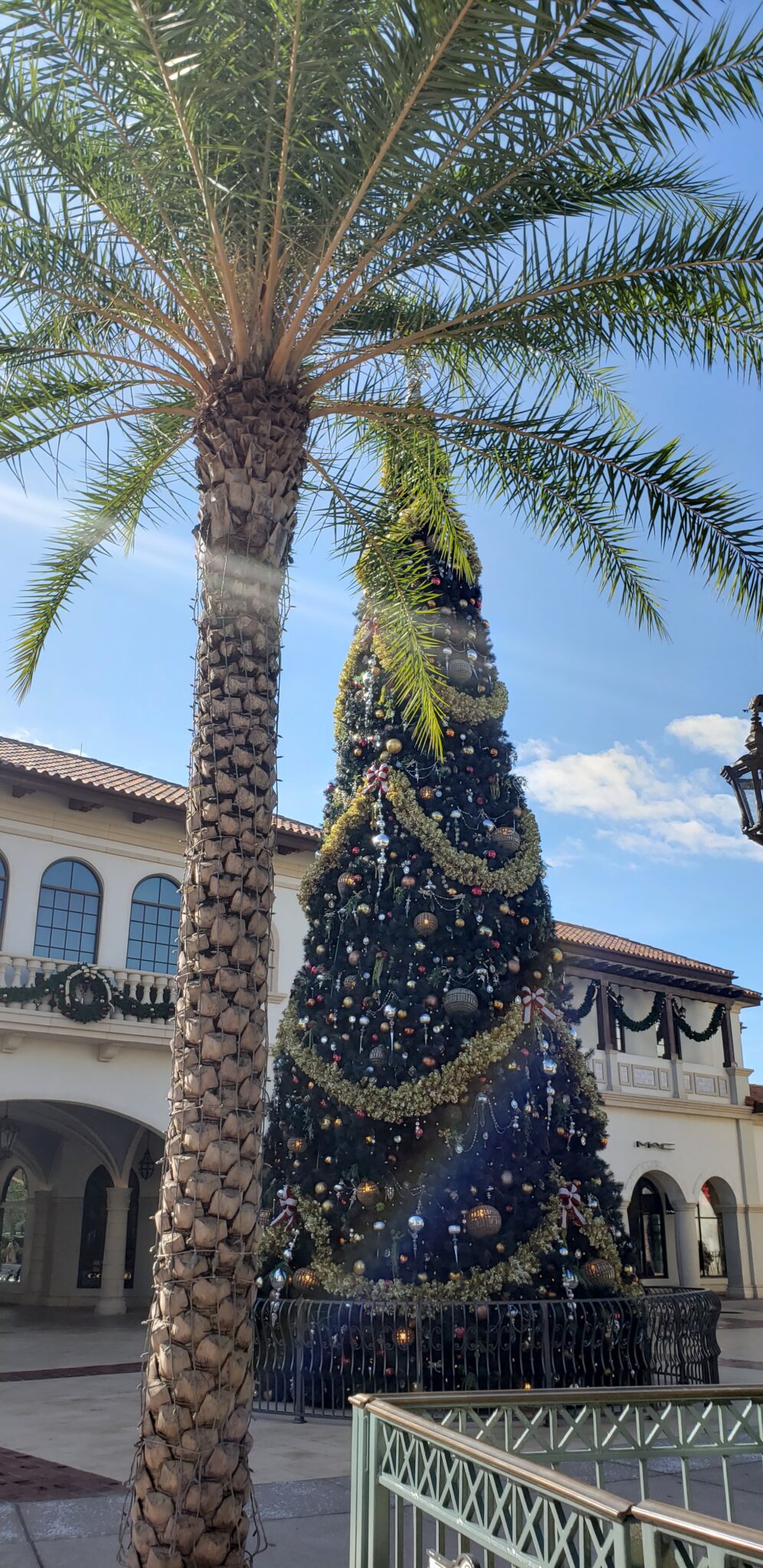 Disney Springs 2020 Christmas ⋆ malarkey