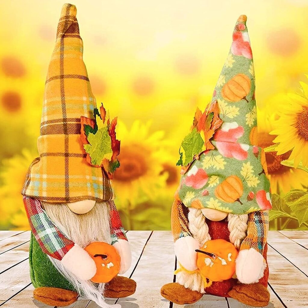 fall gnomes