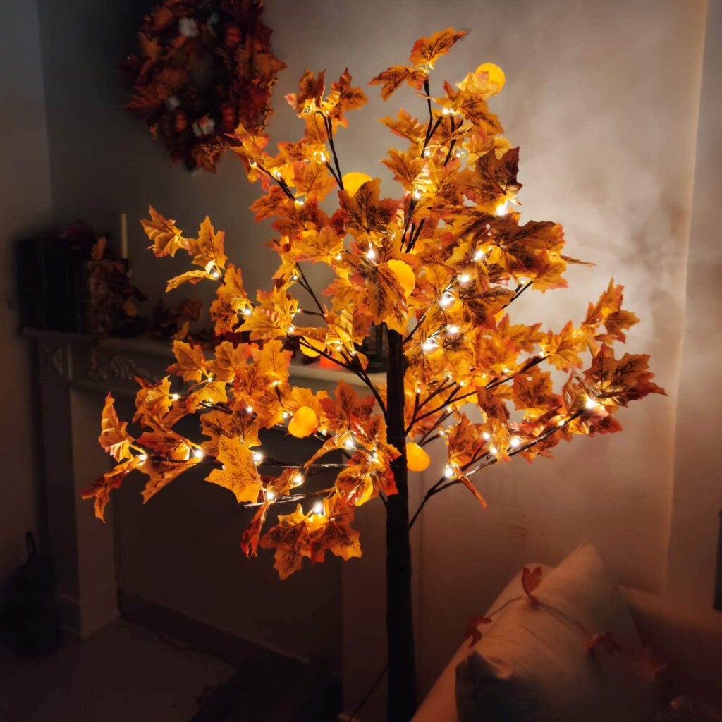 fall tree that lights up