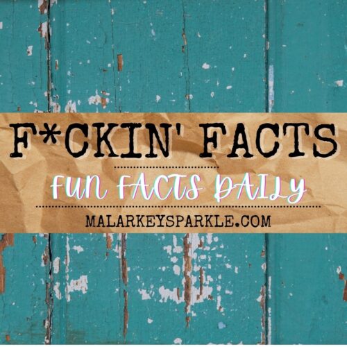 fucking facts new site pin