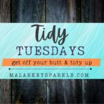 tidy tuesday new site pin