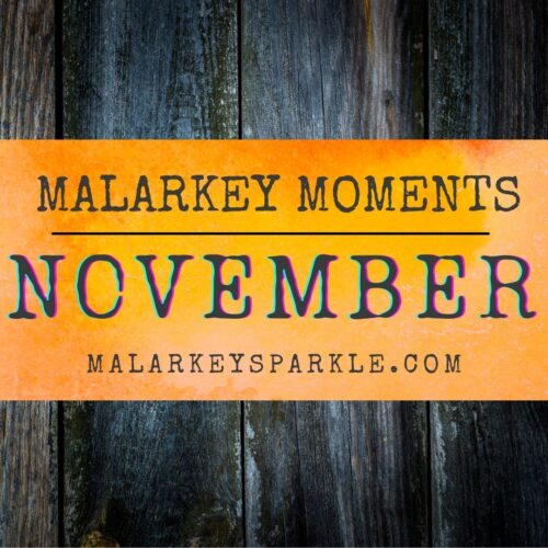 november malarkey moments new site pin