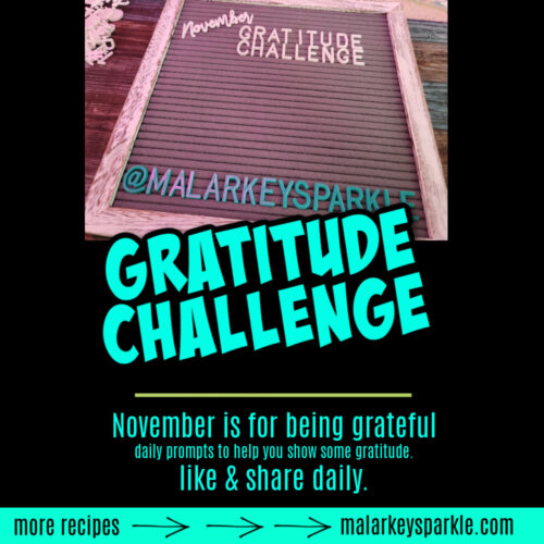 November gratitude challenge