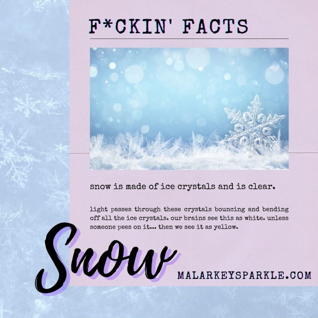 Friday Facts - snowflakes
