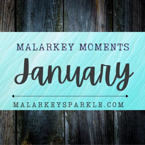 january malarkey moments - button for main web