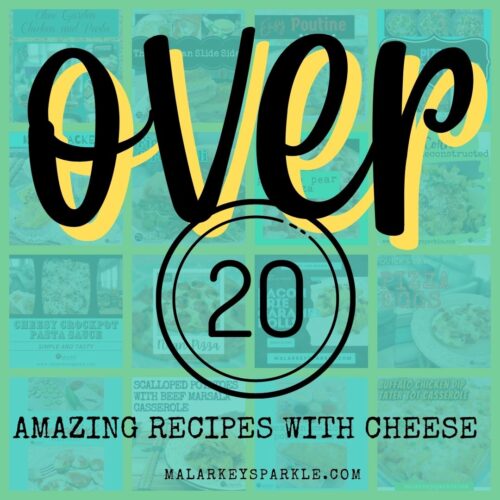 over 20 cheese recipes