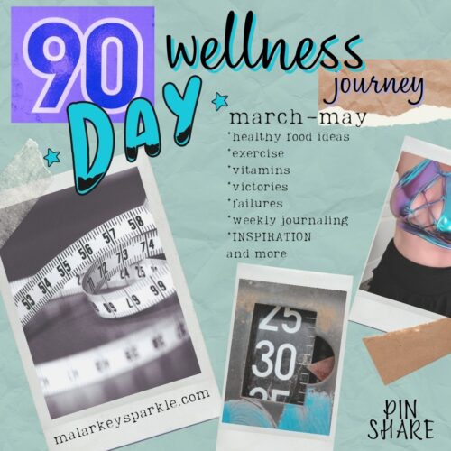 90 day wellness journey