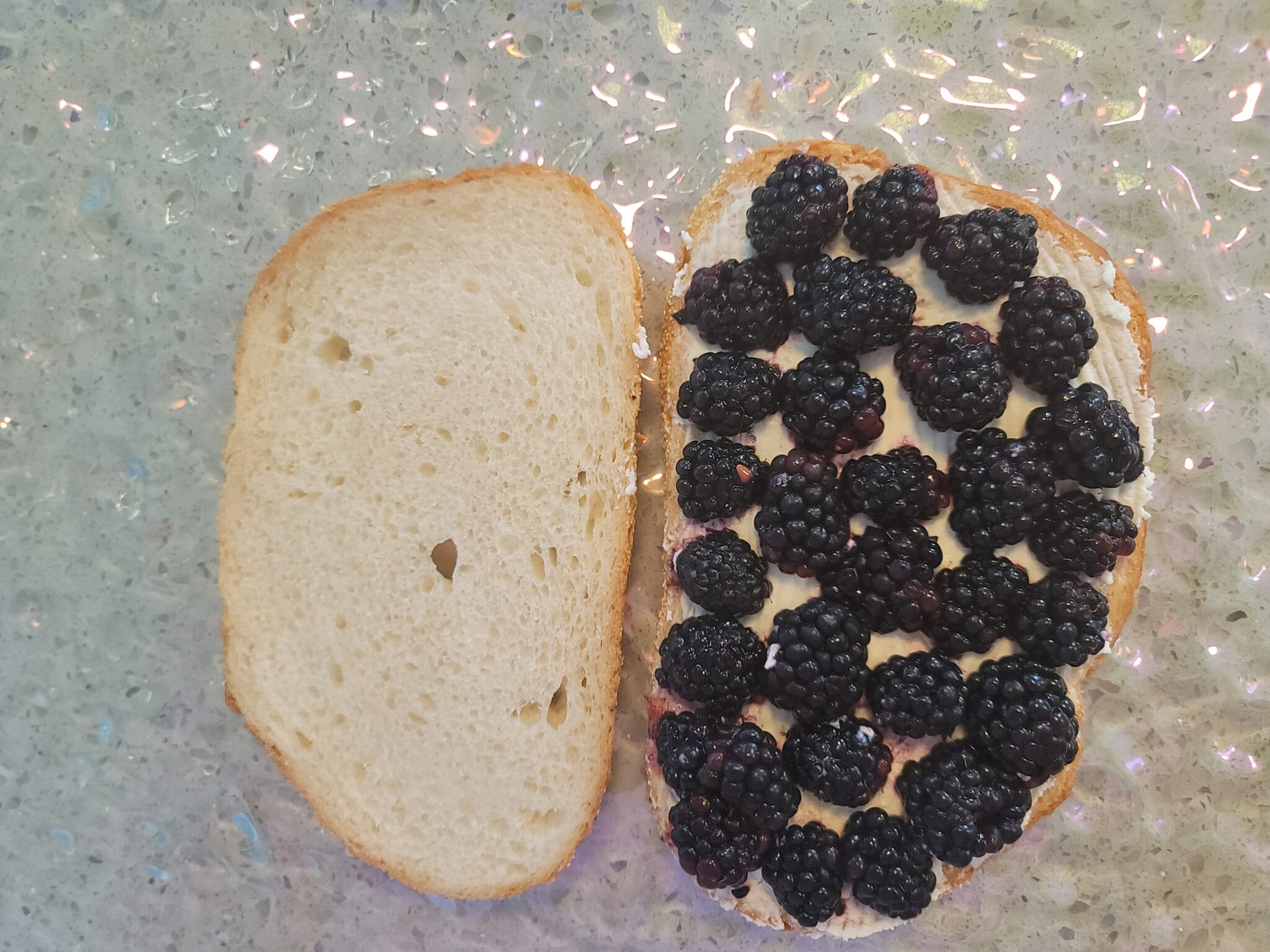 Blackberry Basil Grilled Cheese ⋆ malarkey