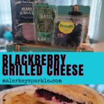 blackberry grilled cheese