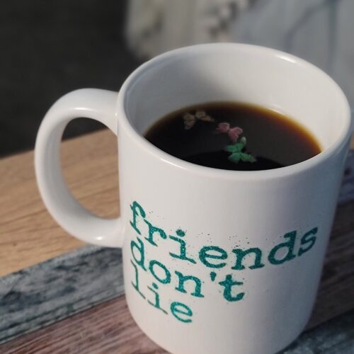 stranger things friends don't lie coffee cup