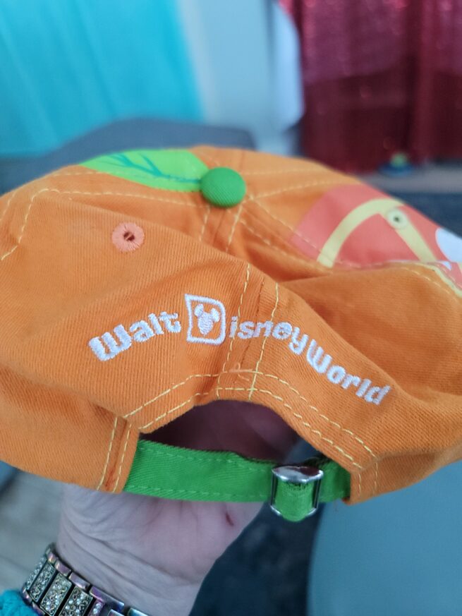 orange bird squeeze the day hat - thrift - used 1 time - Image 3