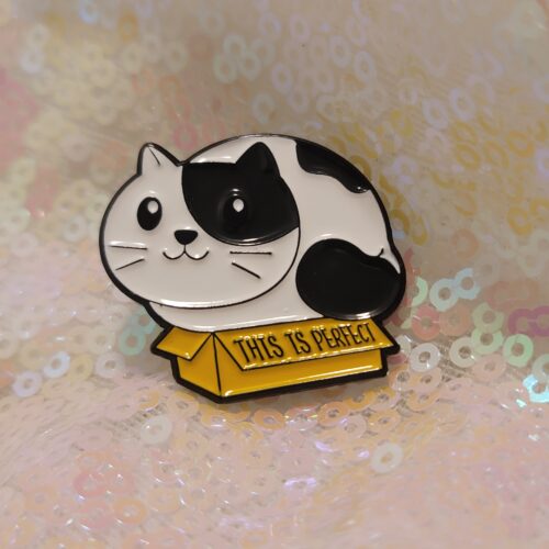 this is perfect - fat cat in a box pin
